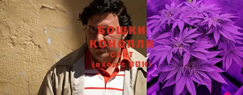 Бошки марихуана SATIVA & INDICA  Каневская 